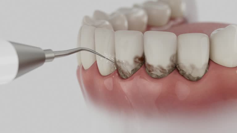 Reliable Dental contractor in Edgewater, MD by Dentist Open Now